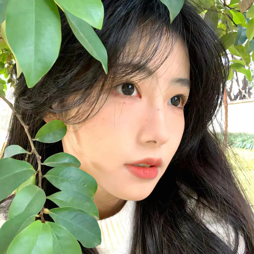 大地雄心